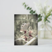 Moth Briefkaart (Staand voorkant)