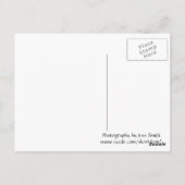 Moth Briefkaart (Achterkant)