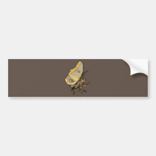 Moth Bumpersticker