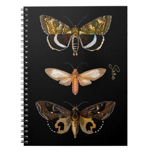  Moth Butterfly - Gepersonaliseerd Notitieboek (Voorkant)