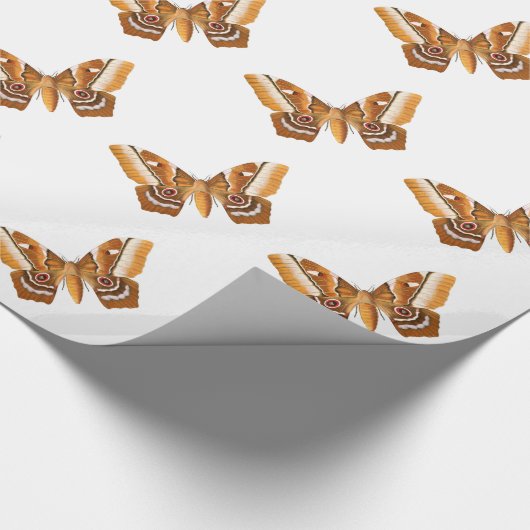 Moth Cadeaupapier (Hoek)