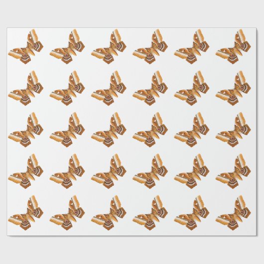 Moth Cadeaupapier (Vlak)