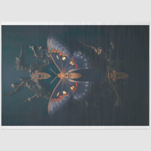 Moth Dark Academia 1 Decoupage papier (Voorkant)