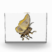 Moth Fotoblokken (Voorkant)
