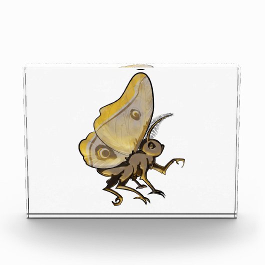 Moth Fotoblokken (Voorkant)