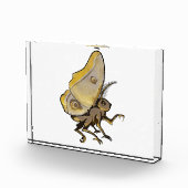 Moth Fotoblokken (Rechts)