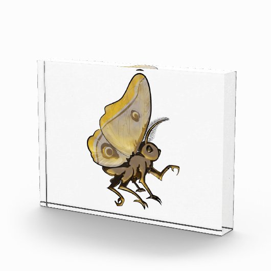 Moth Fotoblokken (Rechts)