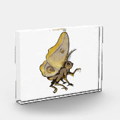 Moth Fotoblokken (Links)