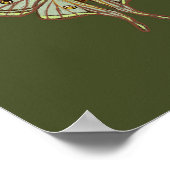 Moth geïllustreerde insecten poster kunst (Hoek)