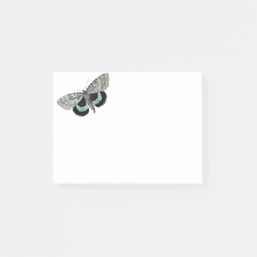 Moth  illustratie post-it® notes (Voorkant)