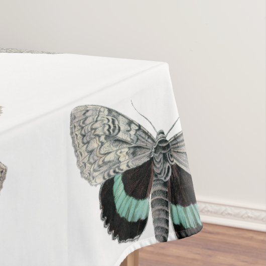 Moth  illustratie tafelkleed (Voorbeeld)