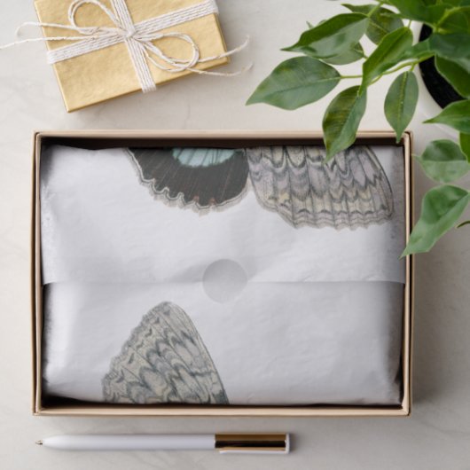 Moth illustratie tissuepapier (Geschenk)