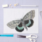 Moth illustratie tissuepapier (Craft)