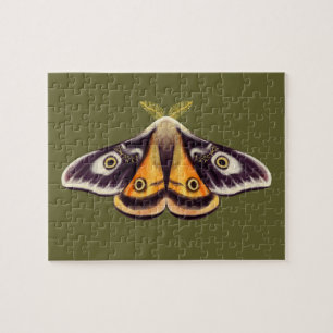 Moth Insect Art Goblincore Saturnia Witchy Green Legpuzzel