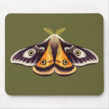 Moth Insect Art Goblincore Saturnia Witchy Green