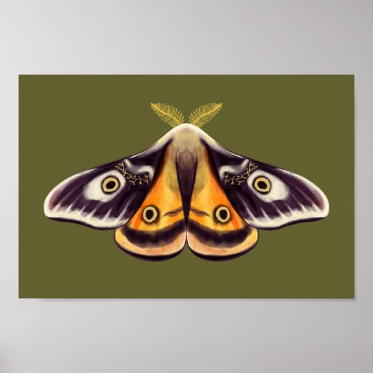 Moth Insect Art Goblincore Saturnia Witchy Green Poster (Voorkant)