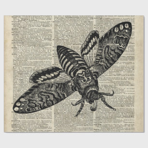 Moth Insect Illustratie op oude boekpagina Cadeaupapier
