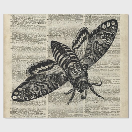 Moth Insect  Illustratie op oude boekpagina Cadeaupapier (Vlak)