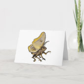 Moth Kaart (Voorkant)