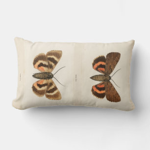 Moth Kussen