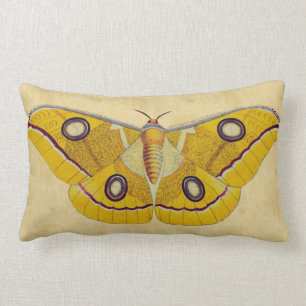 Moth Kussen