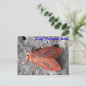 Moth Magic: Rosy Footman Moth briefkaart (Staand voorkant)