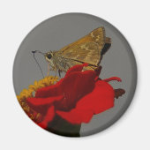 Moth Magneet (Voorkant)