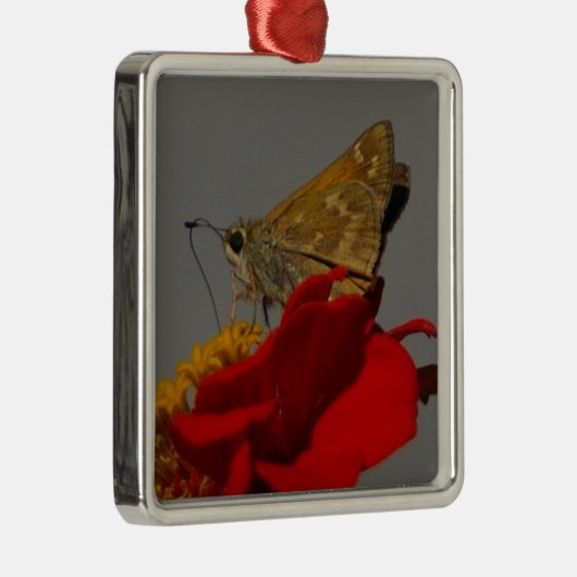 Moth Metalen Ornament (Rechts)