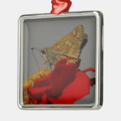 Moth Metalen Ornament (Links)