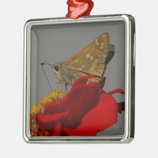 Moth Metalen Ornament (Links)