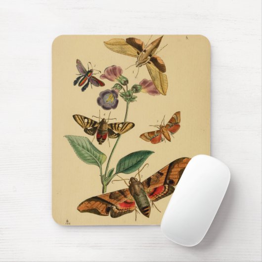  Moth Mousepad Muismat (Met muis)