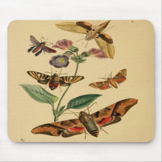  Moth Mousepad Muismat