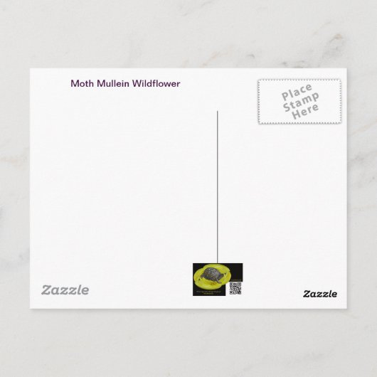 Moth Mullein Wildflower Briefkaart (Achterkant)