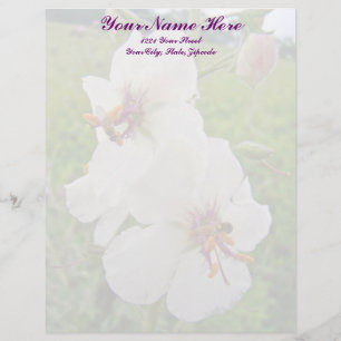 Moth Mullein Wildflower Letterhead Persoonlijk Briefhoofd