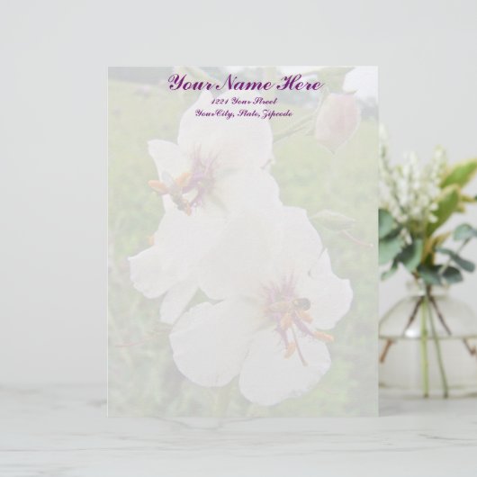 Moth Mullein Wildflower Letterhead Persoonlijk Briefhoofd (Staand voorkant)
