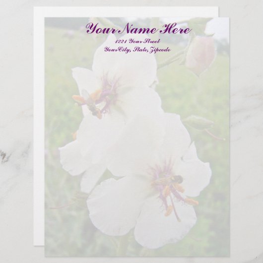 Moth Mullein Wildflower Letterhead Persoonlijk Briefhoofd (Voorkant / Achterkant)