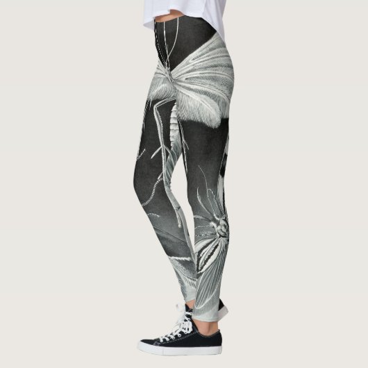 Moth Naturalist Leggings (Links)