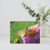 Moth On Flower Briefkaart (Staand voorkant)