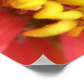  Moth on Red Flower Print (Hoek)