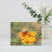 Moth on Yellow Flower Briefkaart (Staand voorkant)