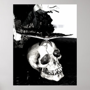 Moth op de schedel poster