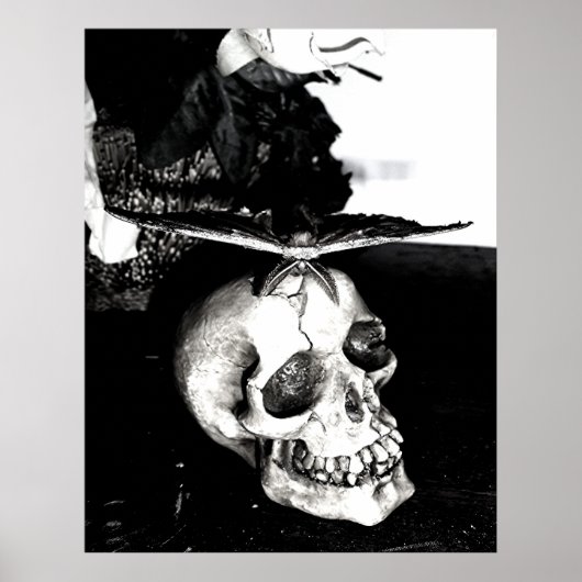 Moth op de schedel poster (Voorkant)