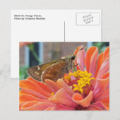 Moth op Oranje ventilator Briefkaart (Voorkant / Achterkant)