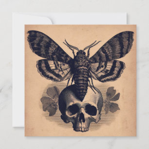 Moth op schedel Antiek Gothic Horror Illustratie Kaart