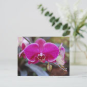Moth Orchid Briefkaart (Staand voorkant)