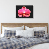 Moth Orchid Canvas Afdrukken (Insitu (Slaapkamer))