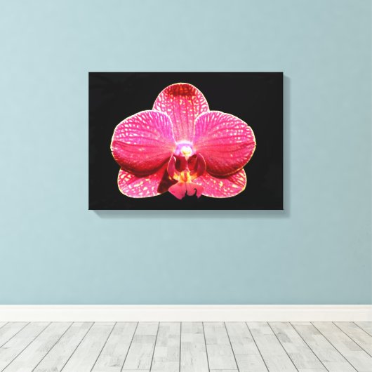 Moth Orchid Canvas Afdrukken (Insitu (Houten vloer))