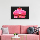 Moth Orchid Canvas Afdrukken (Insitu (Woonkamer))