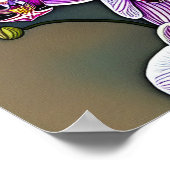 Moth Orchid - Canvas Art Print (Hoek)