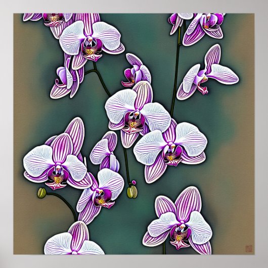 Moth Orchid - Canvas Art Print (Voorkant)